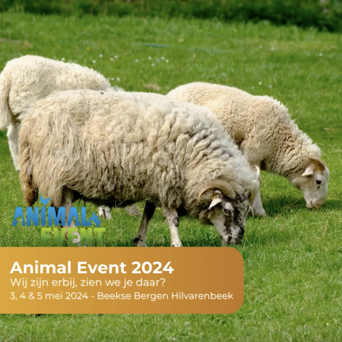 hay to you hooi en stro op animal event